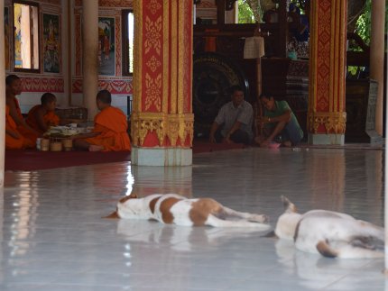 Laos - Bouddhisme et animisme