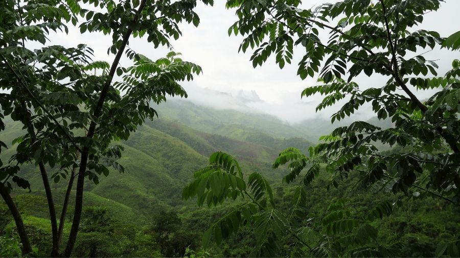 L'avènement des peuples Taï au Laos, du XIIIe au milieu du XIVe siècle