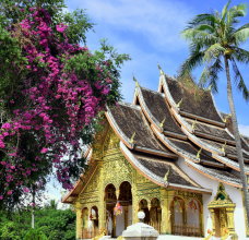 Articles et actualités au Laos