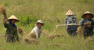 Laos Autrement, devis gratuit