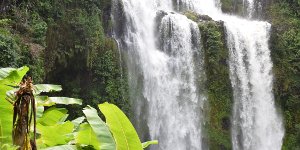 Les Bolovens - Laos