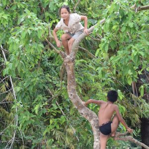 Bolovens, une richesse ethnique - Laos