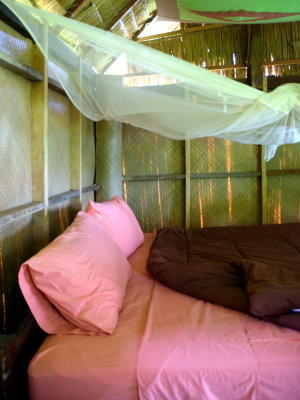 Logement de catégorie atyique au Laos - AERR