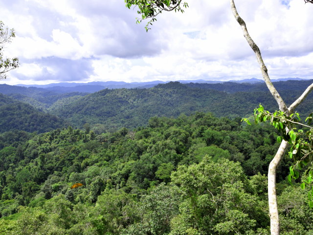 Logement de catégorie atypique au Laos - AGPE