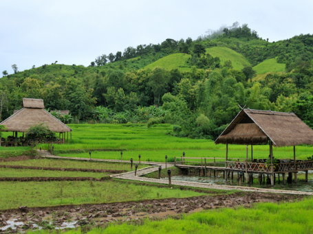 Hôtel de catégorie atypique au Laos - akmu