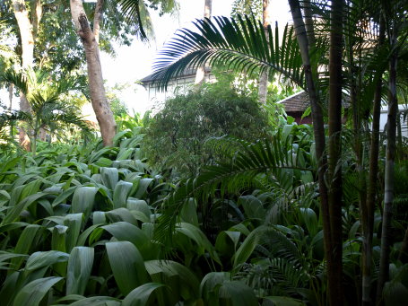 Hôtel de luxe au Laos - LSHE