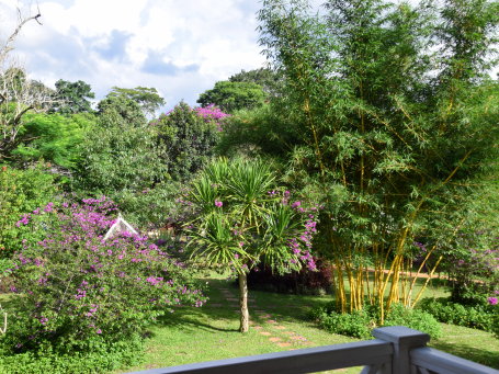 Hôtel de catégorie moyenne au Laos - MSCE