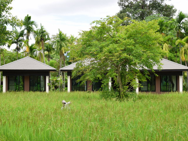 Hôtel de catégorie supérieure au Laos - SRVE