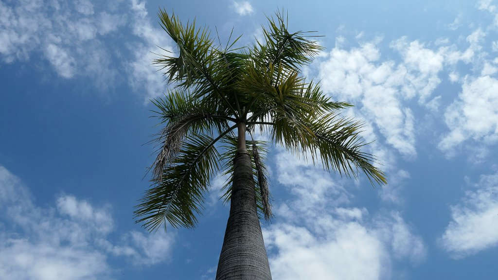 Climat et météo au Laos