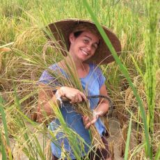 Voyage au Laos, femme dans les rizières
